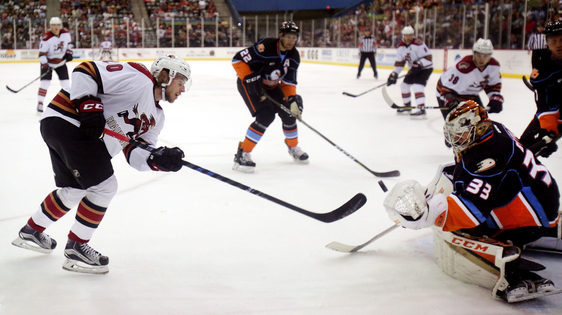 Tucson Roadrunners vs. San Diego Gulls AHL hockey